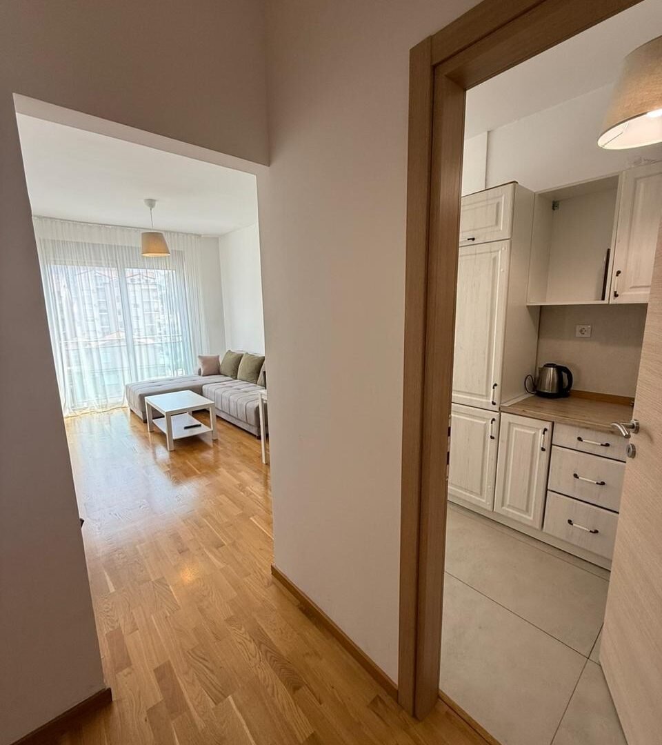 Apartman Stefan Becici